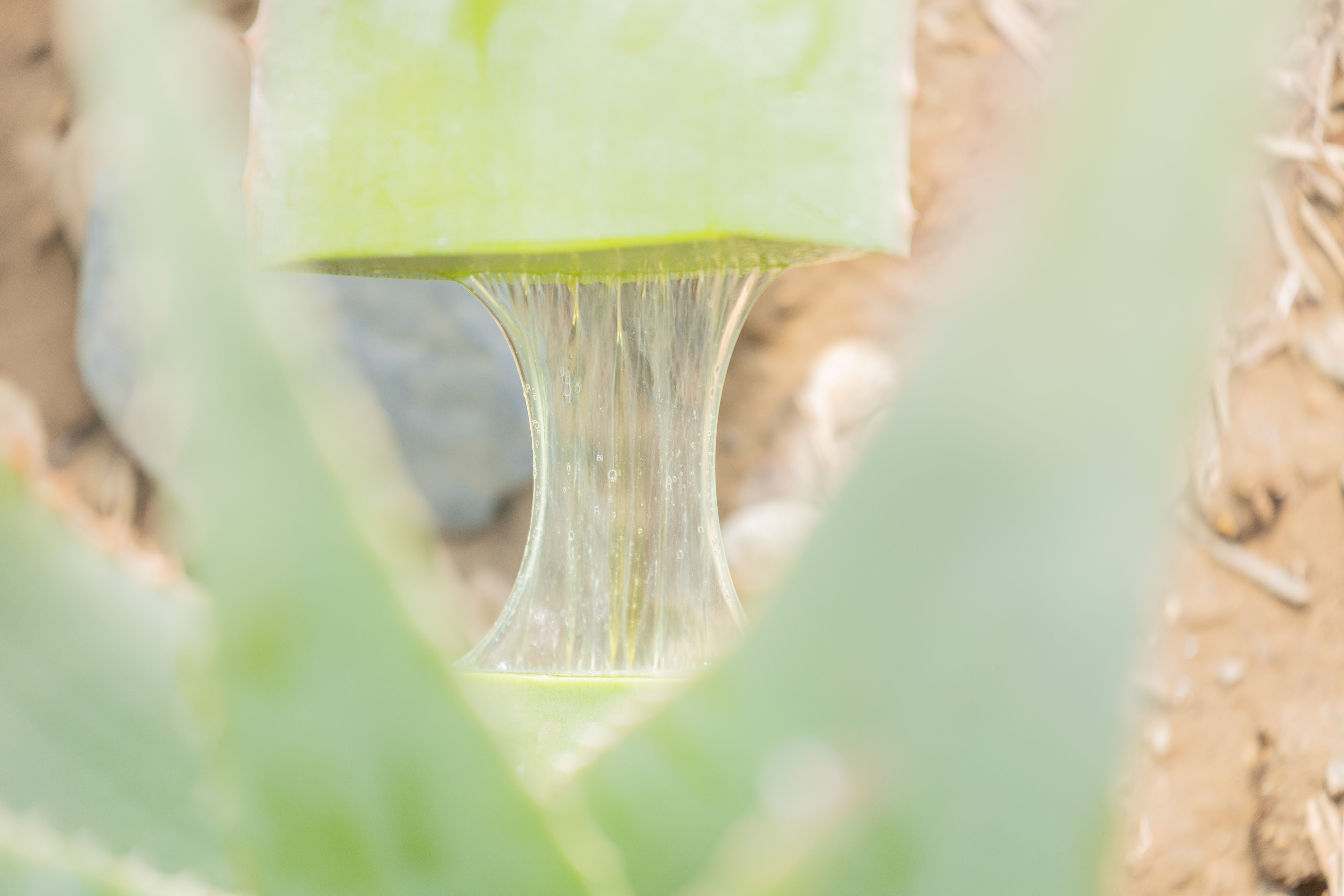 Sérum Hydratant - Acide Hyaluronique & Aloe Vera