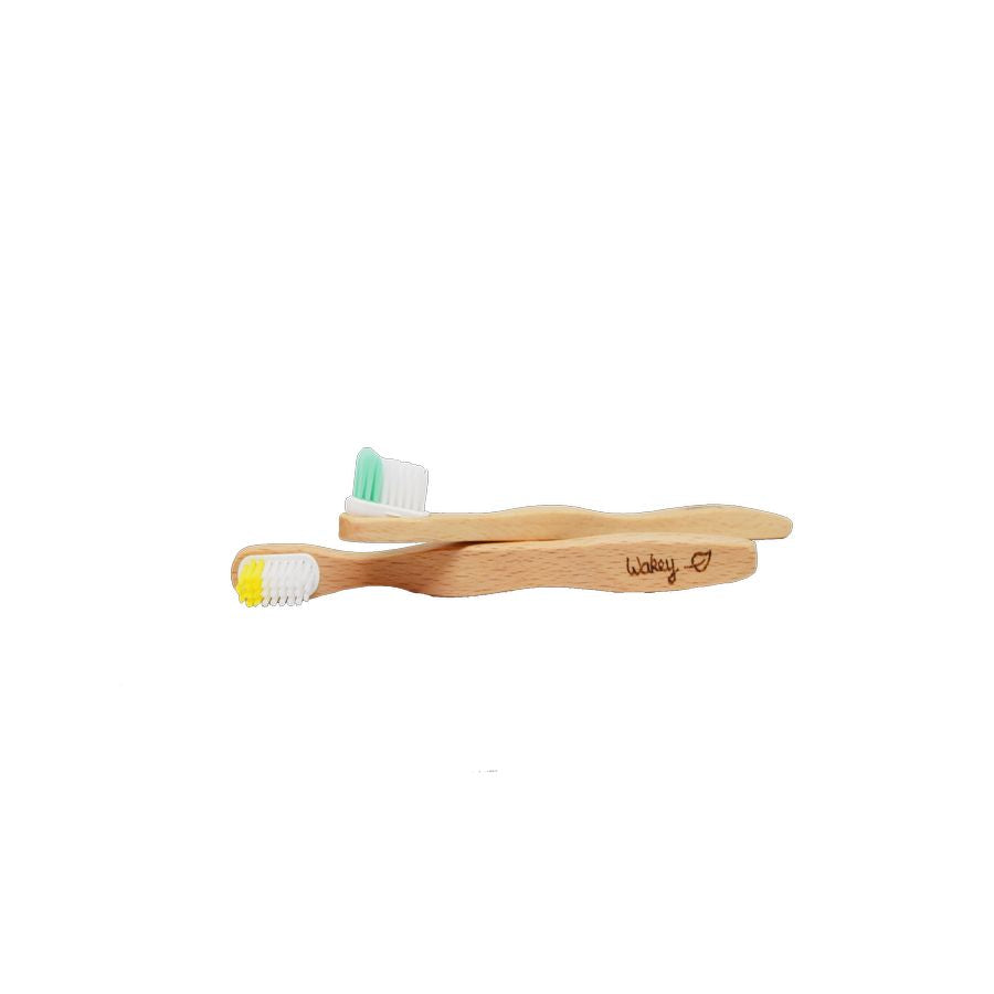 Brosse à dents rechargeable en bois