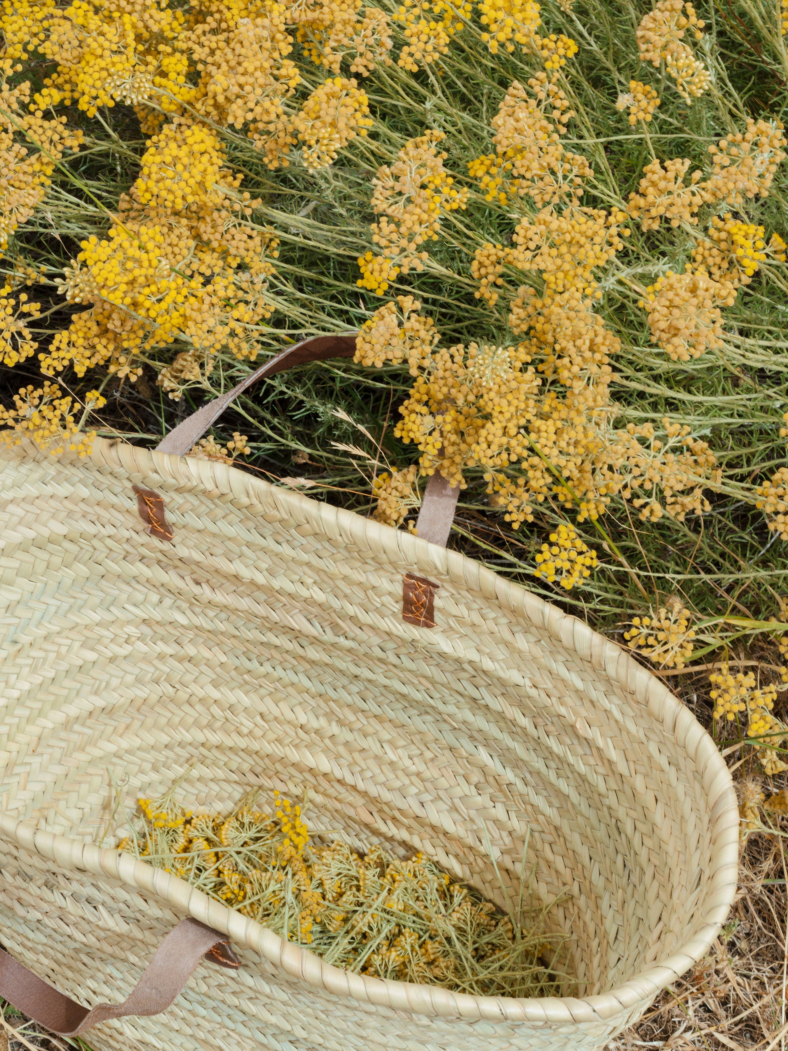 Eau d'Immortelle