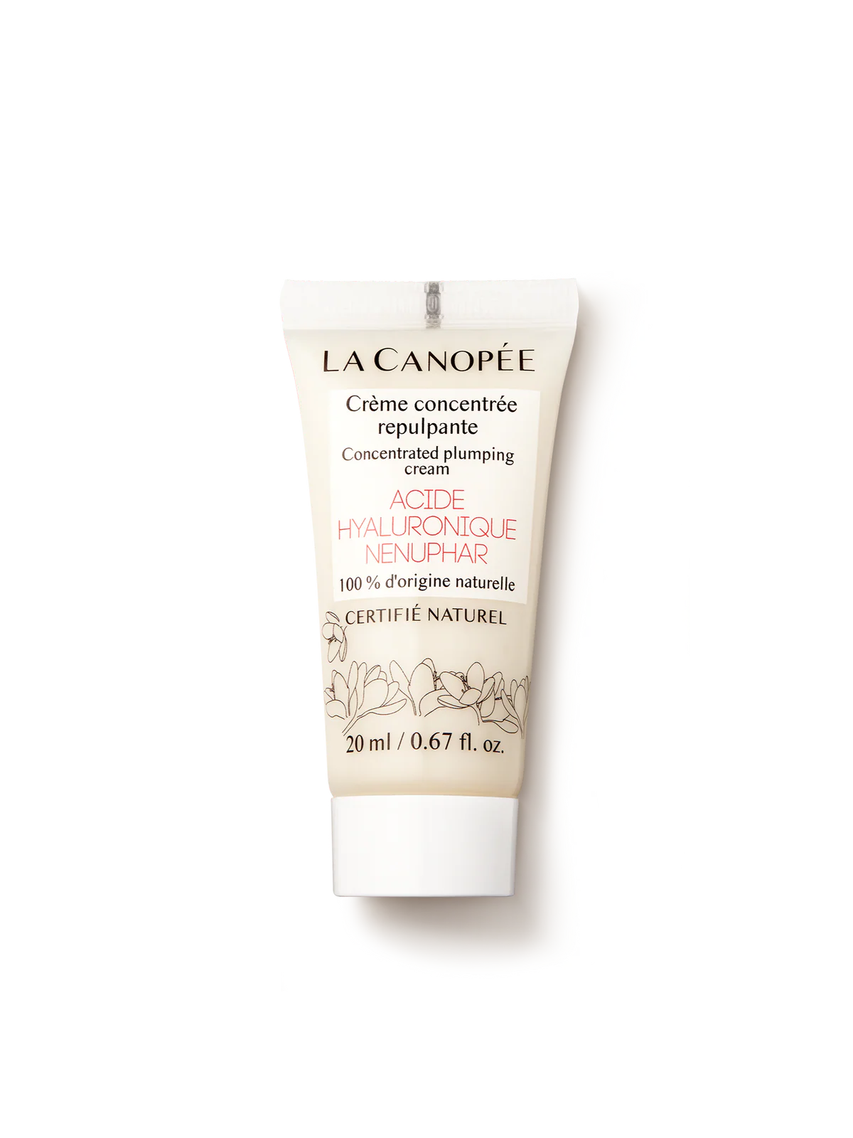 Crème Concentrée aux Actifs Repulpants