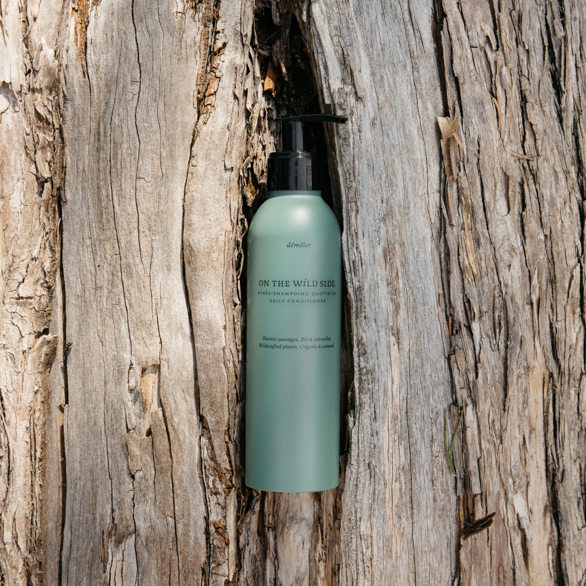 Après-Shampoing Quotidien