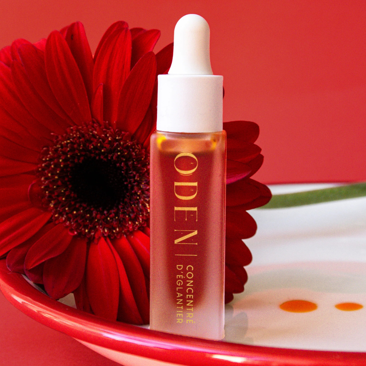 Concentré d'Eglantier - Collector