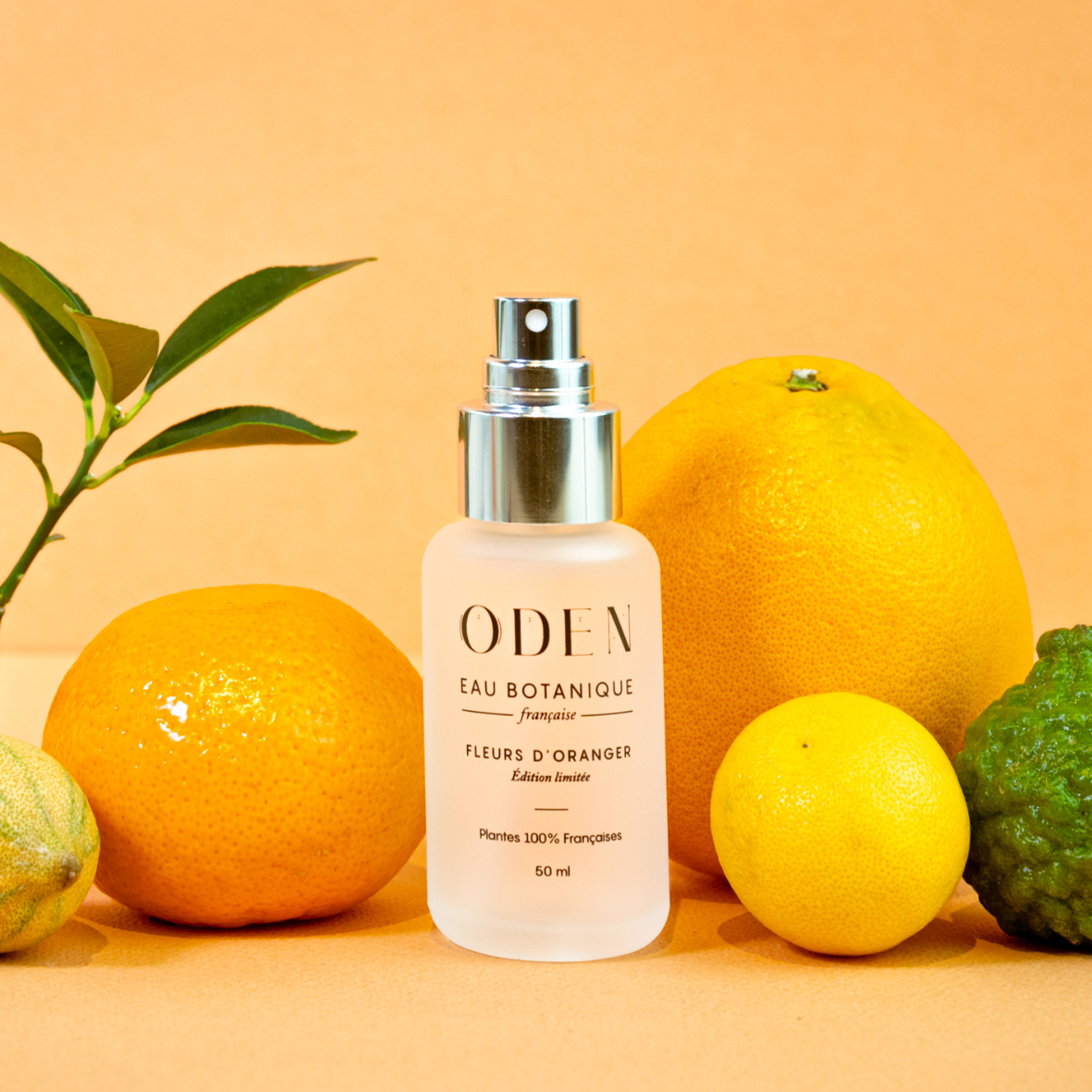 Eau Botanique de Fleur d'Oranger par ODEN – vue complémentaire 4