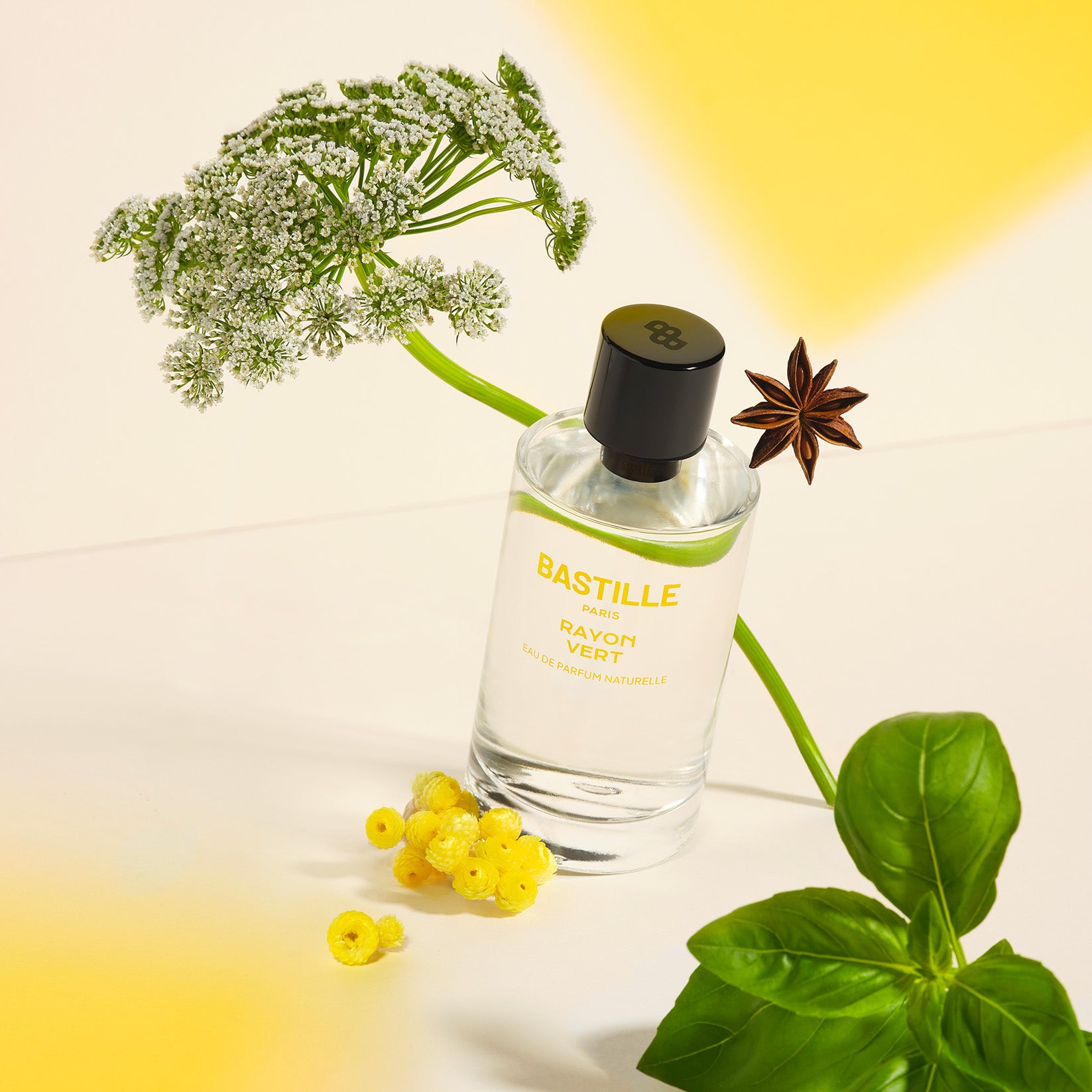 RAYON VERT - Eau de parfum par BASTILLE – vue complémentaire 2