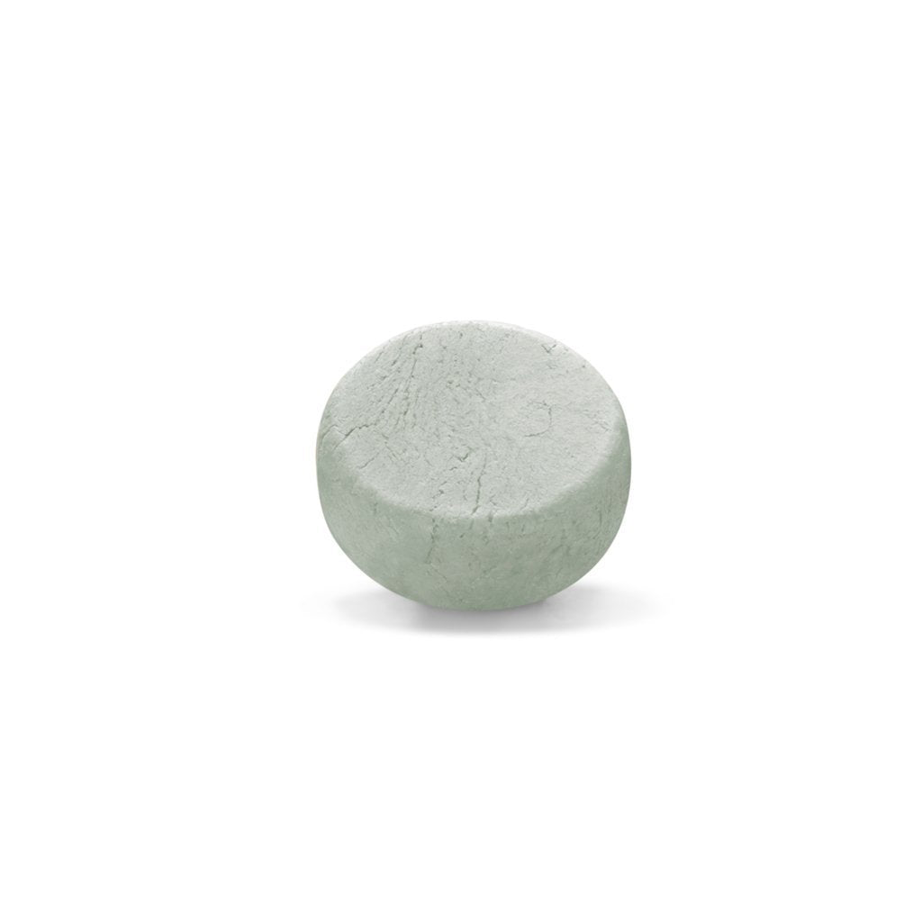 Shampoing Purifiant Vivifiant Pure Voyage