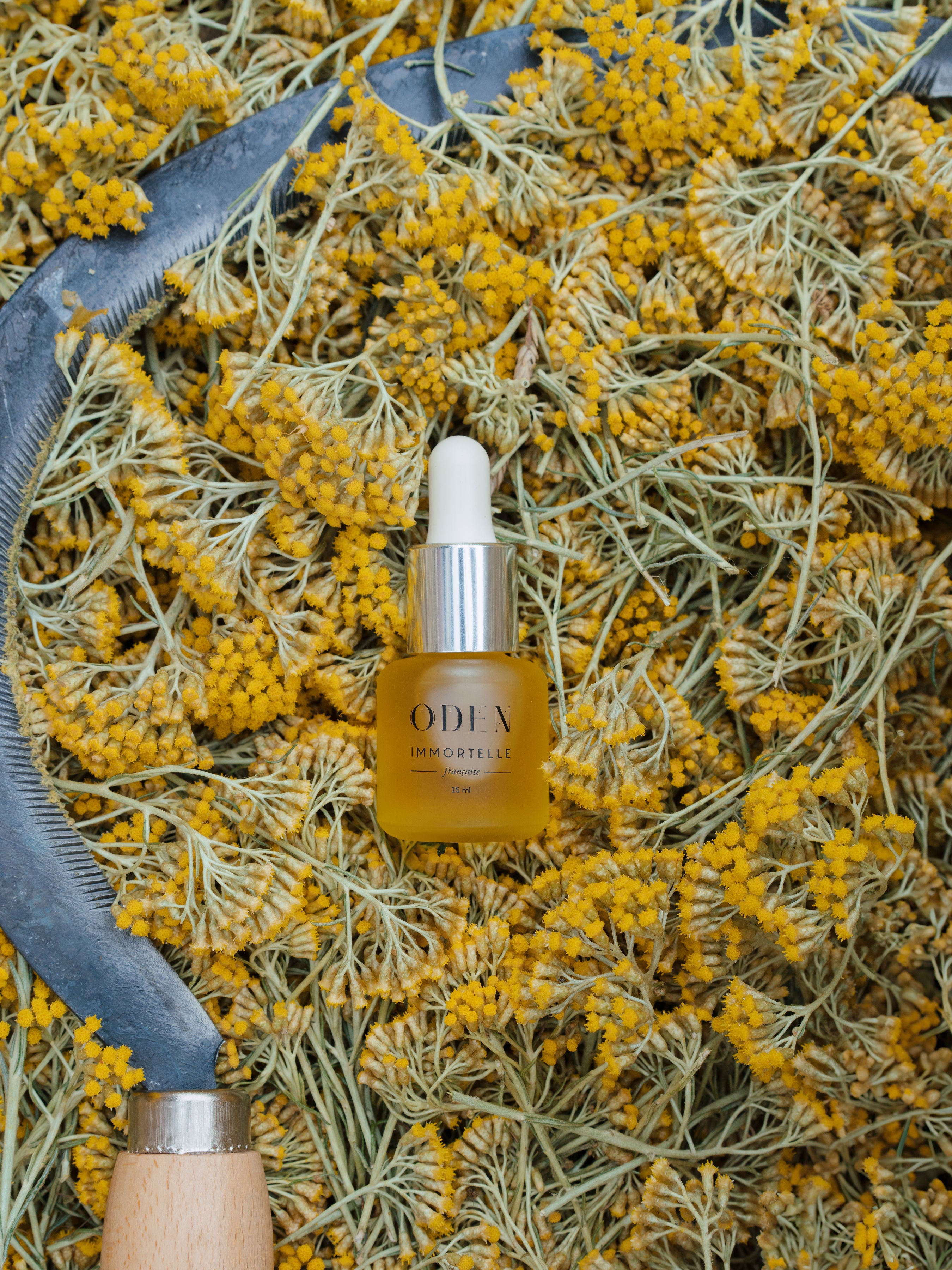 Huile d'Immortelle