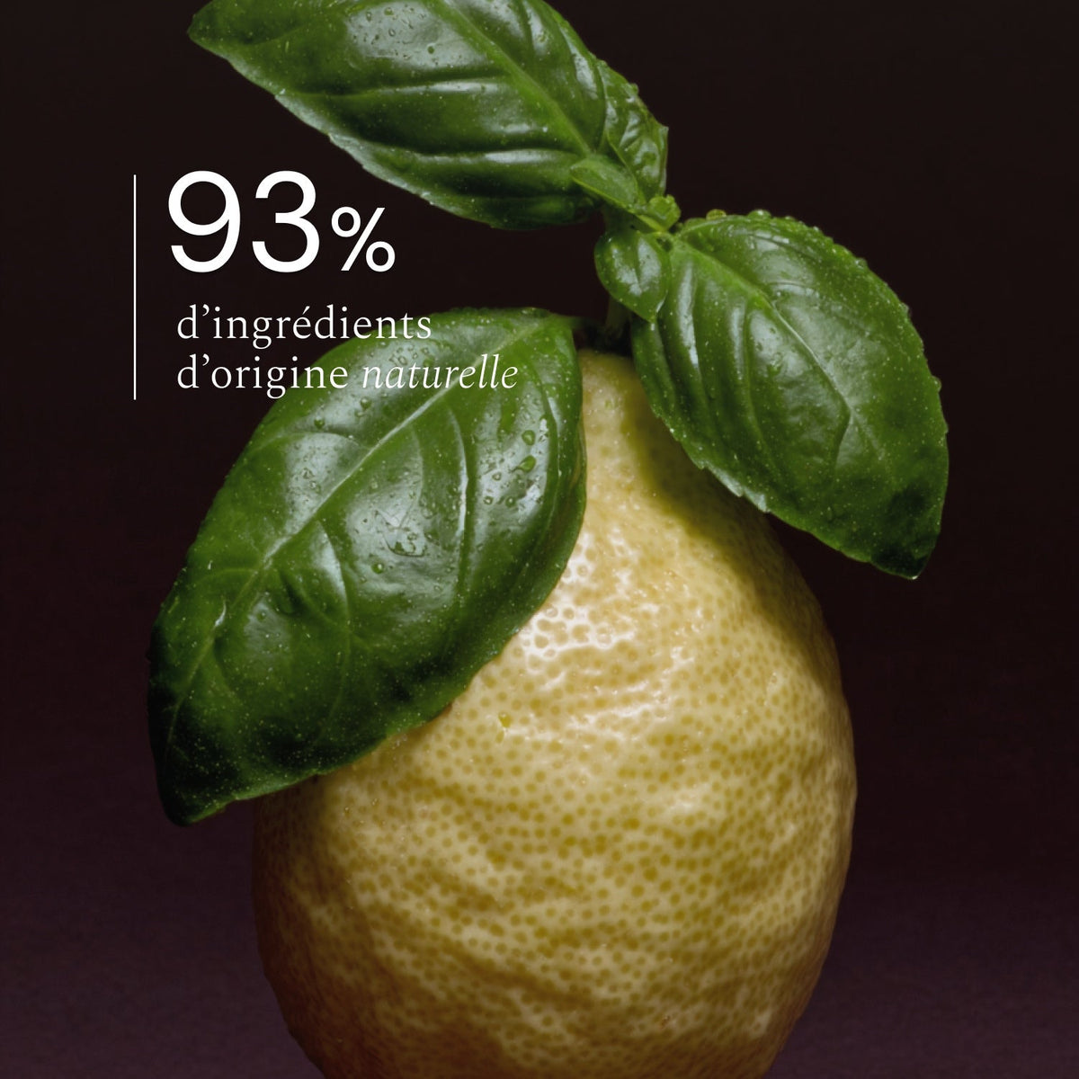 Diffuseur Basilic Citron What Matters dans un intérieur