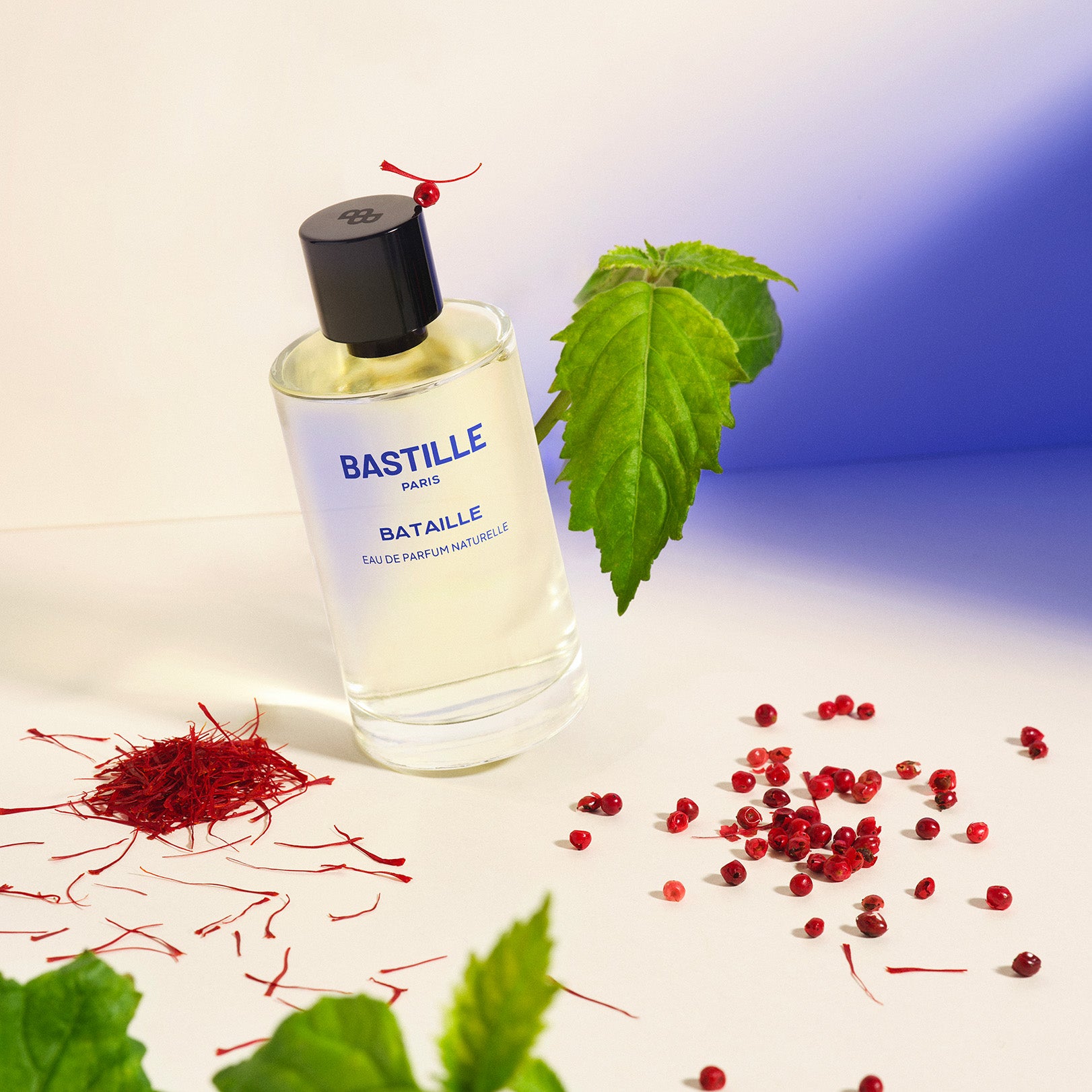 BATAILLE - Eau de parfum par BASTILLE – vue complémentaire 2