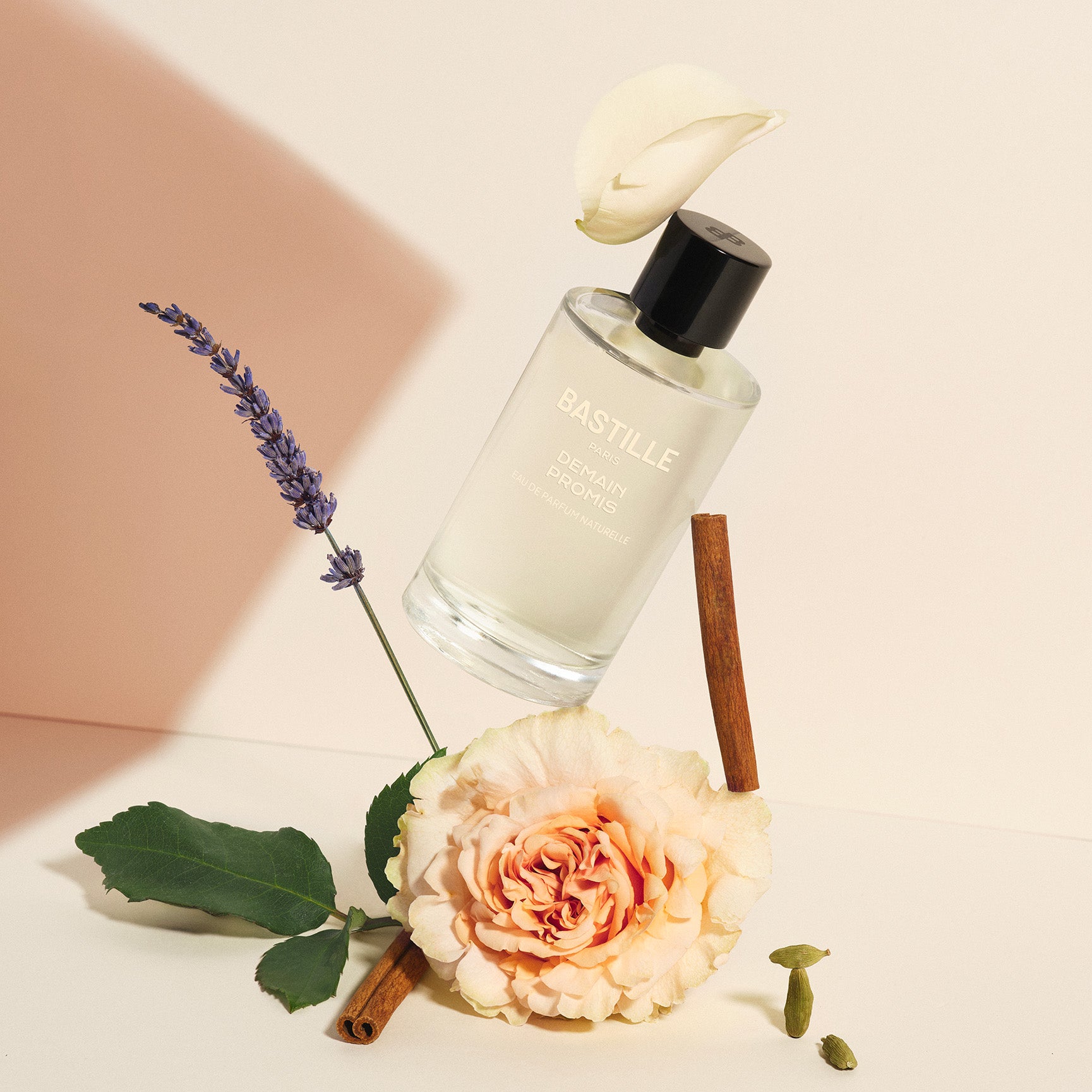DEMAIN PROMIS - Eau de parfum par BASTILLE – vue complémentaire 2
