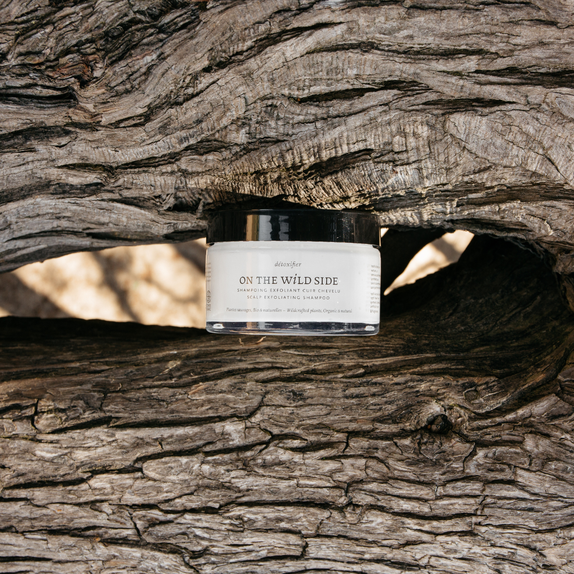 Shampoing Exfoliant Cuir Chevelu